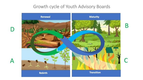 YAB growth cycle